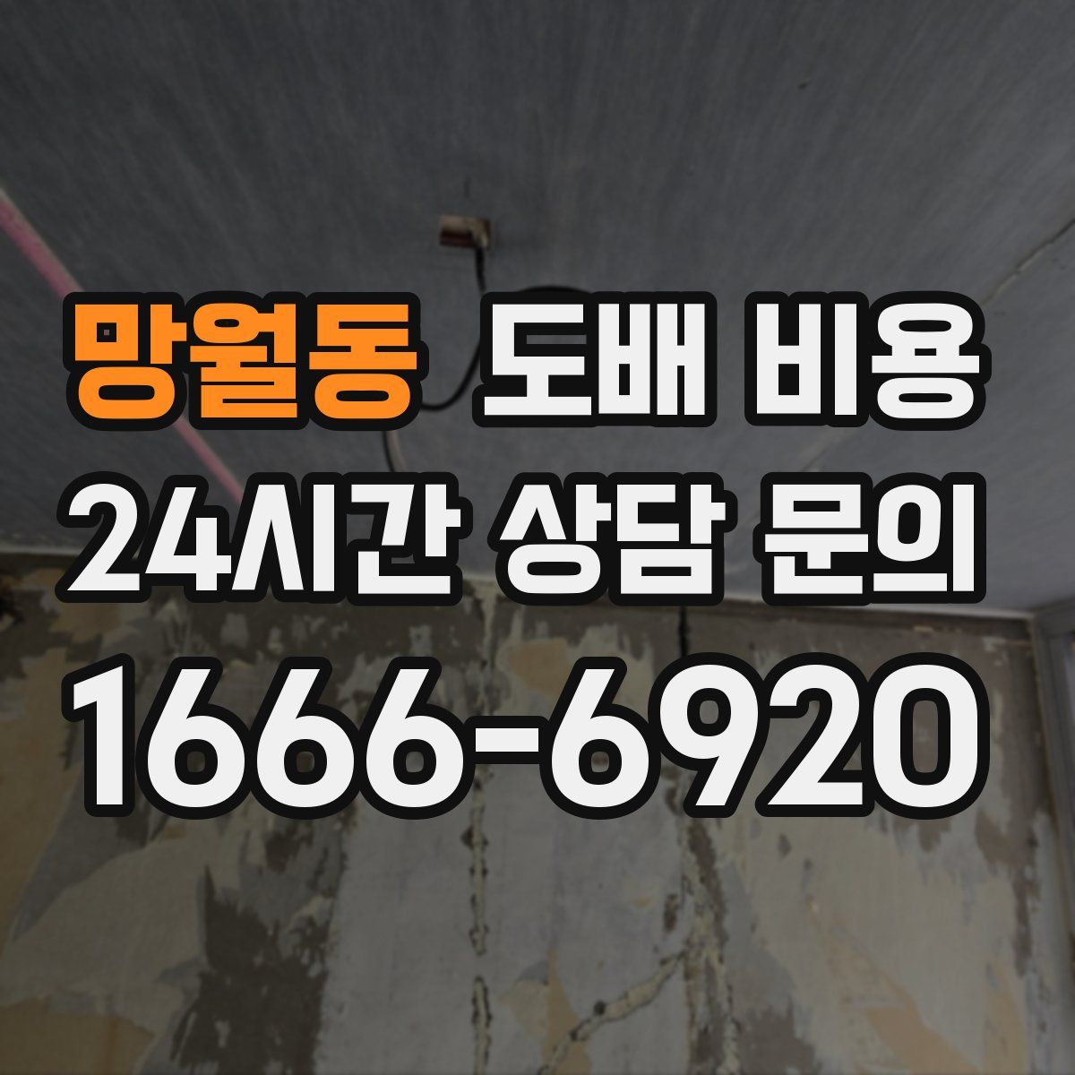 망월동 도배 비용