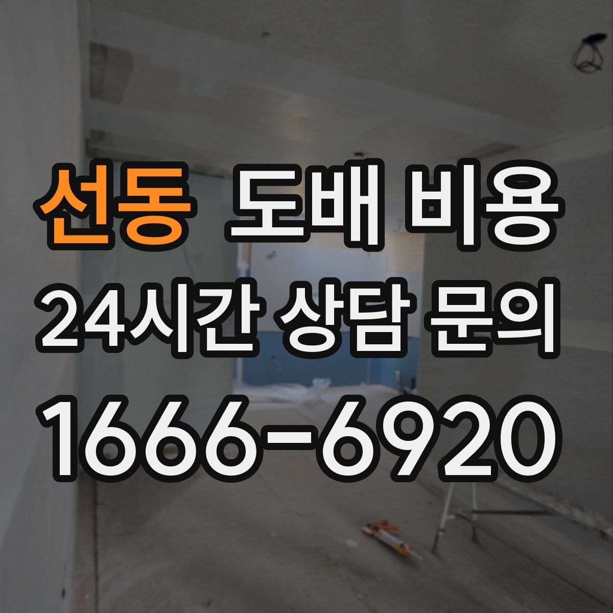 선동 도배 비용