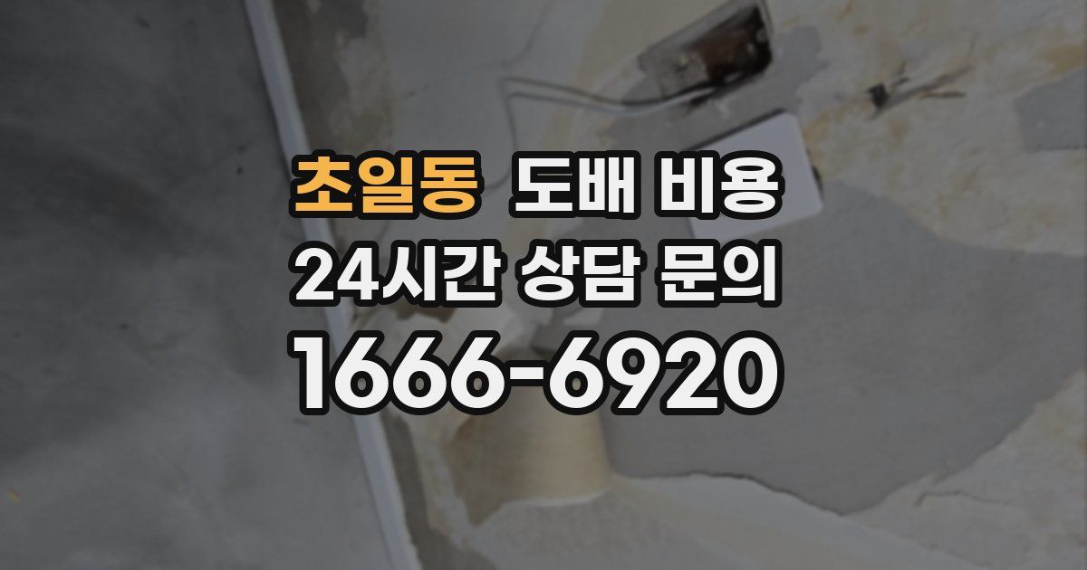 초일동 도배 비용
