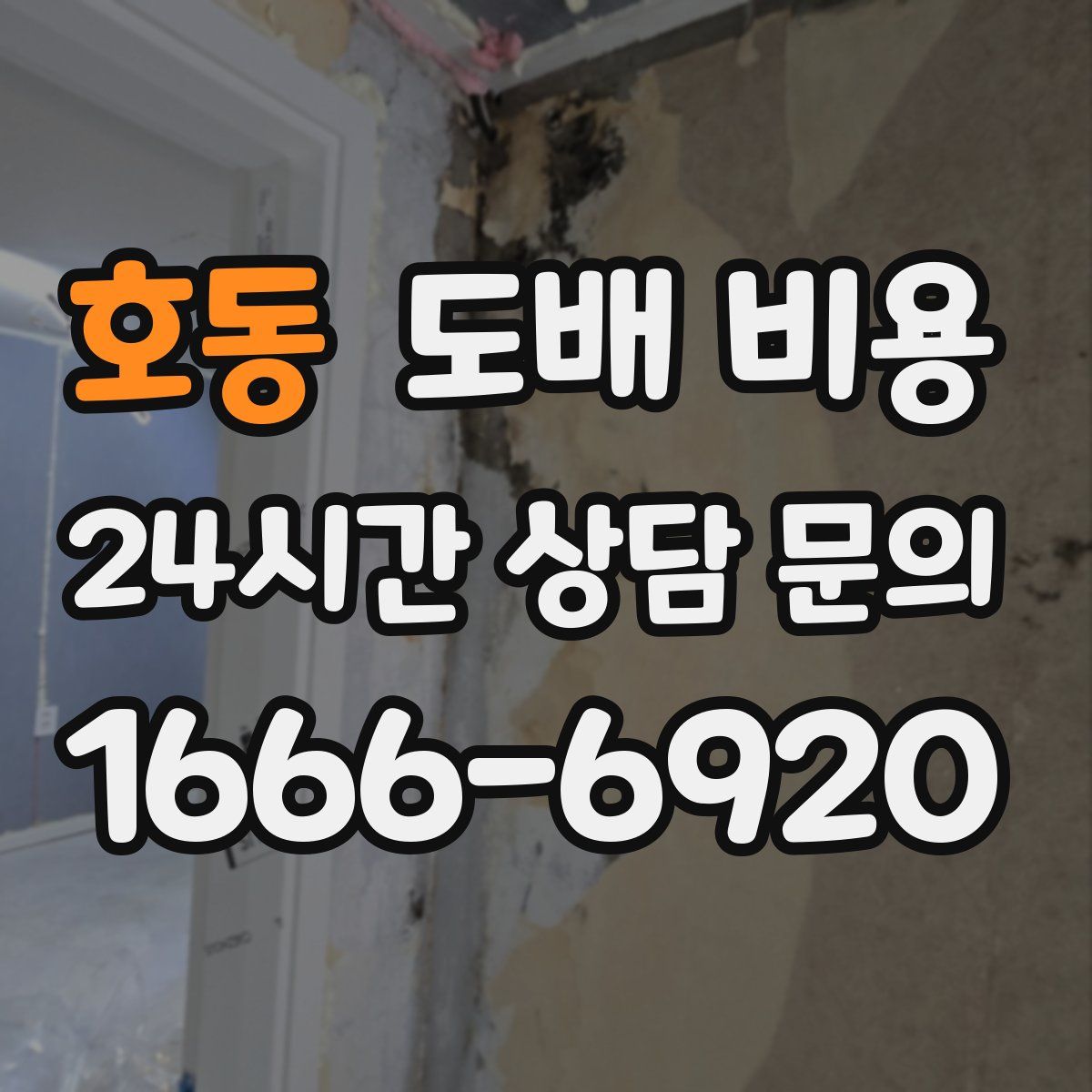 호동 도배 비용