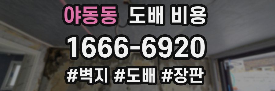 야동동 도배 비용