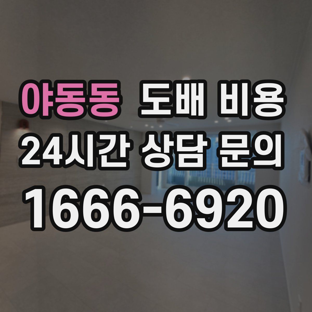 야동동 도배 비용