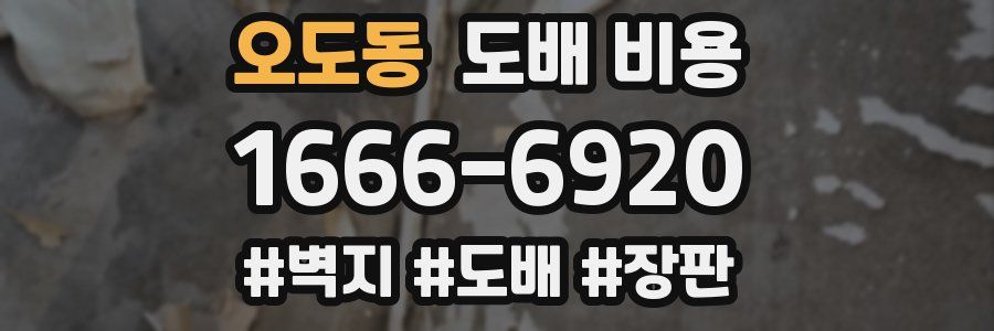 오도동 도배 비용