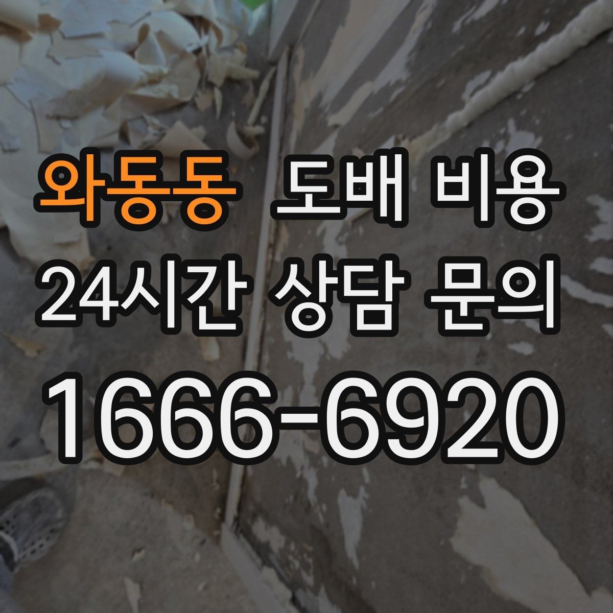 와동동 도배 비용 산정 시 확인할 점