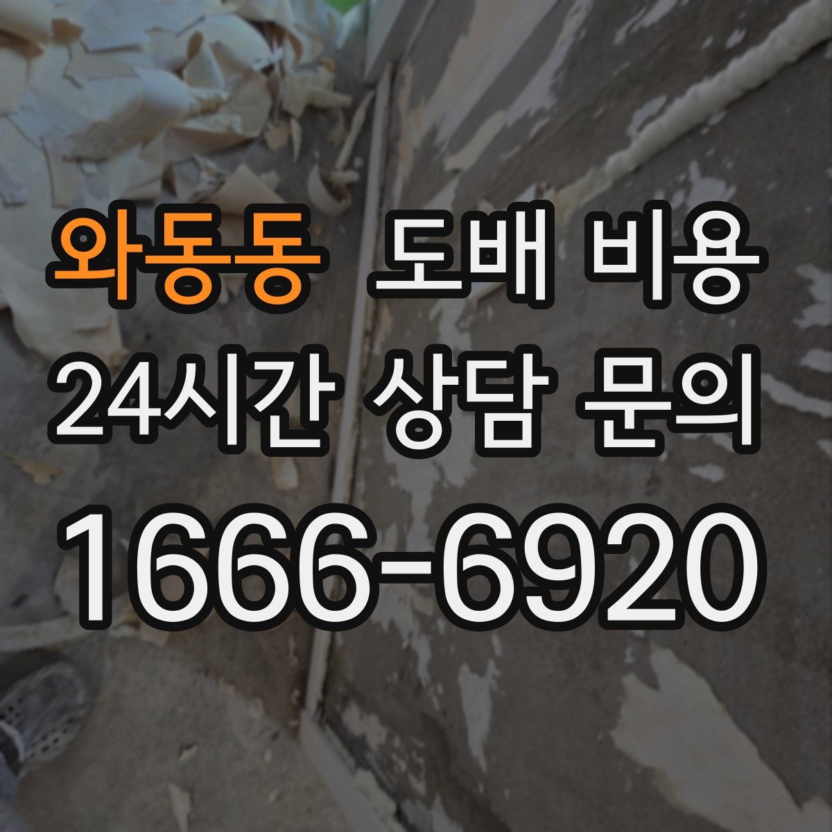 와동동 도배 비용