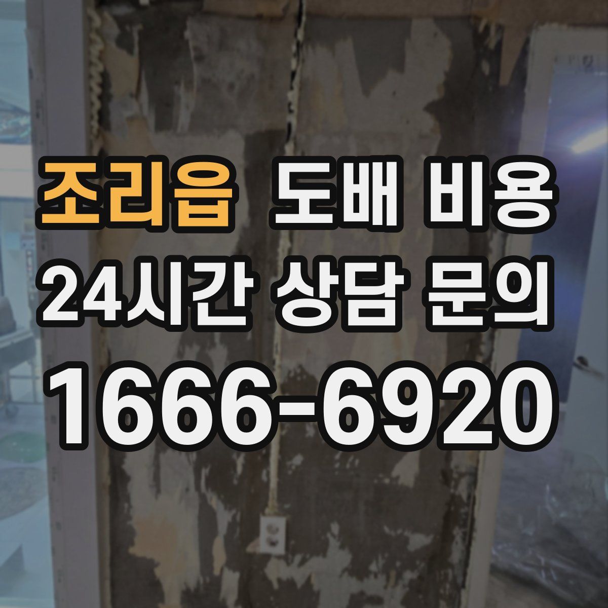 조리읍 도배 비용
