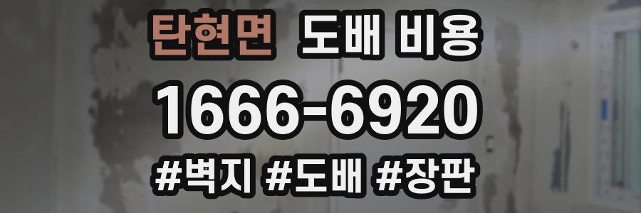 탄현면 도배 비용