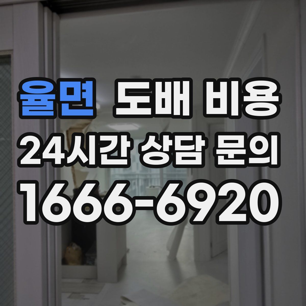 율면 도배 비용