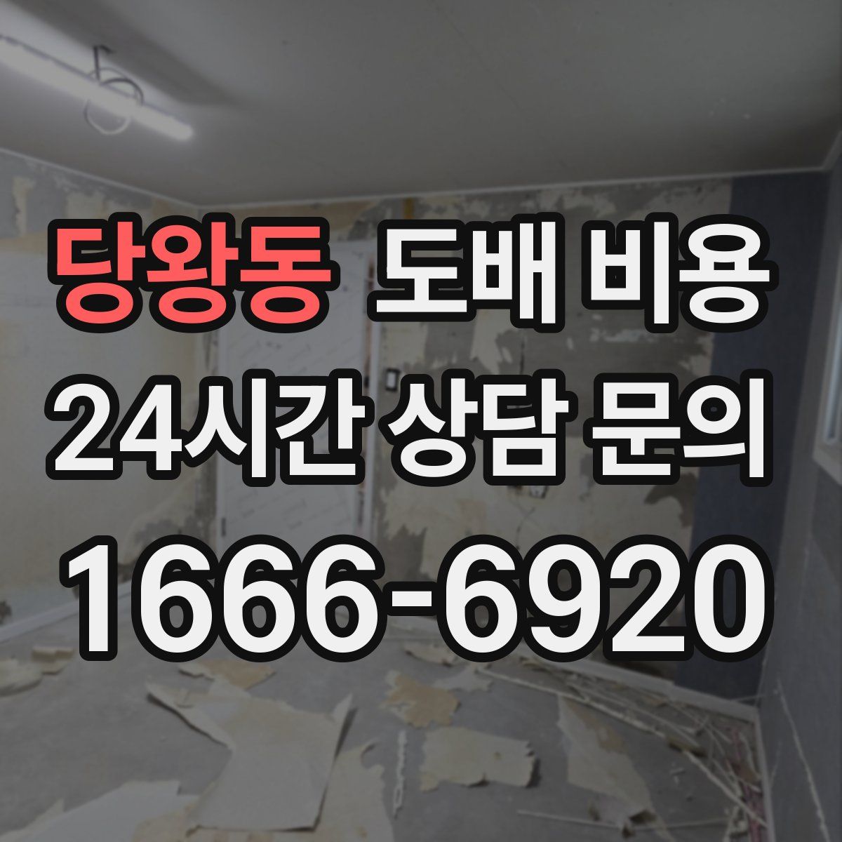 당왕동 도배 비용