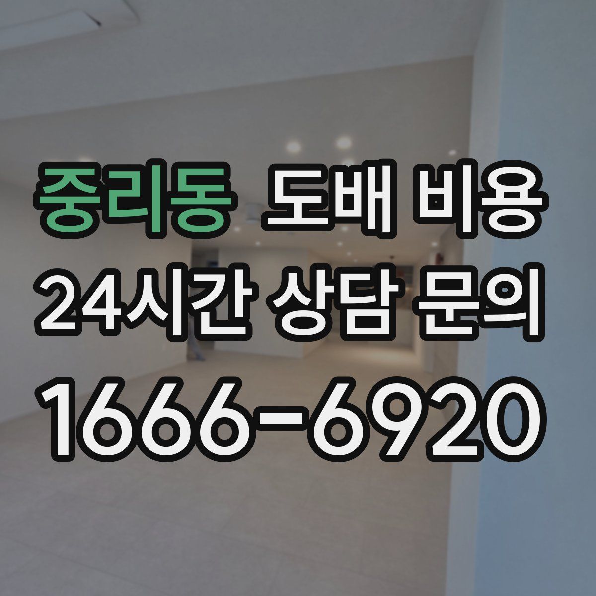 중리동 도배 비용