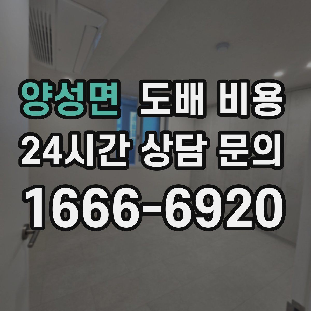 양성면 도배 비용 책정 기준, 초보자도 이해하기 쉽게