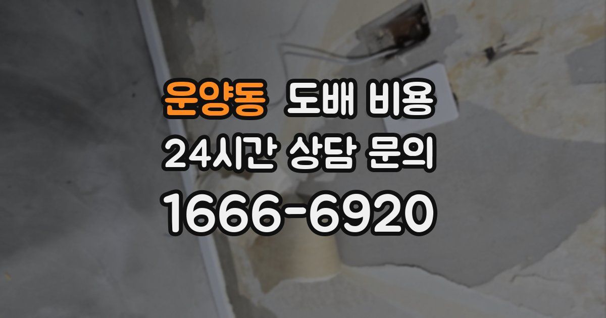 운양동 도배 비용