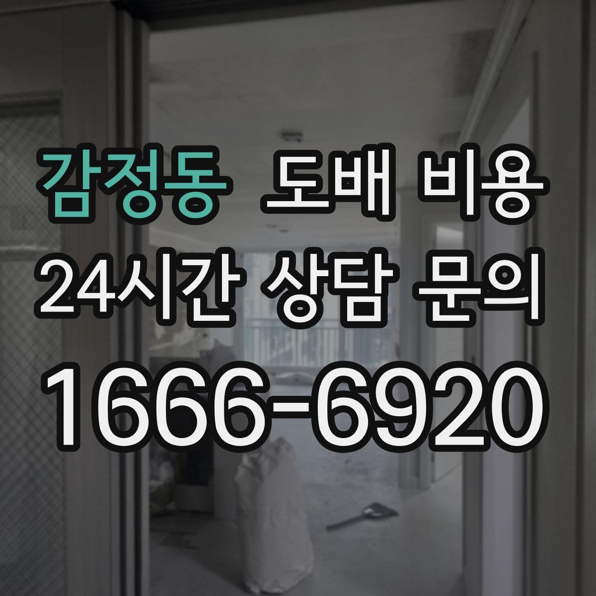 감정동 도배 비용