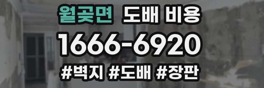 월곶면 도배 비용