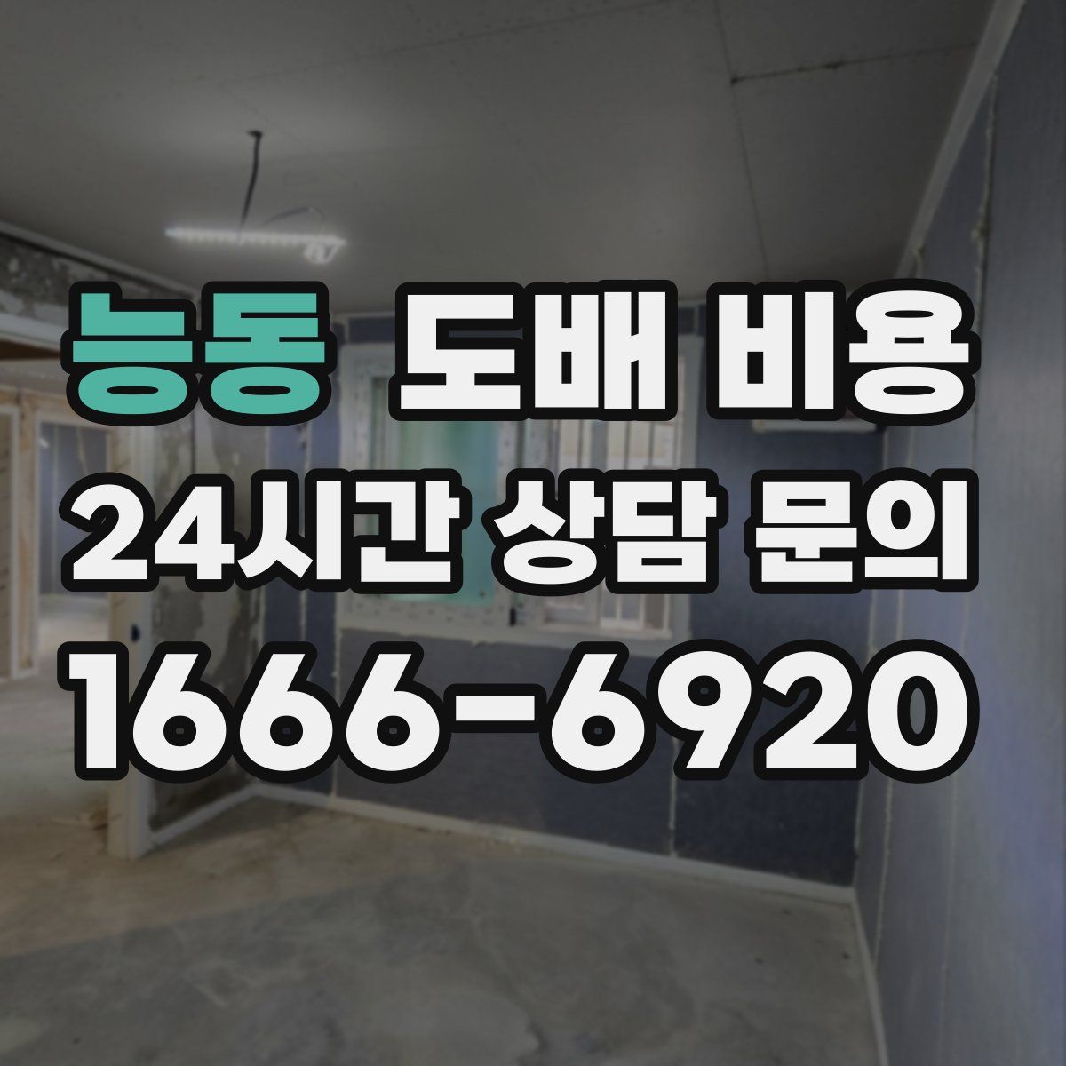 능동 도배 비용