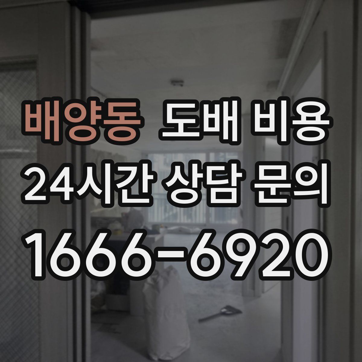 배양동 도배 비용