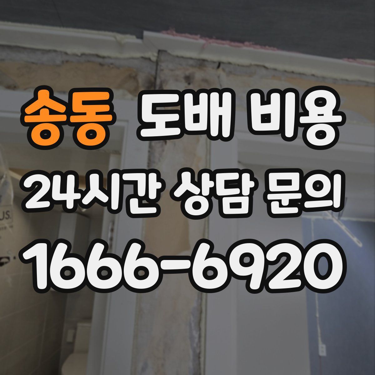 송동 도배 비용