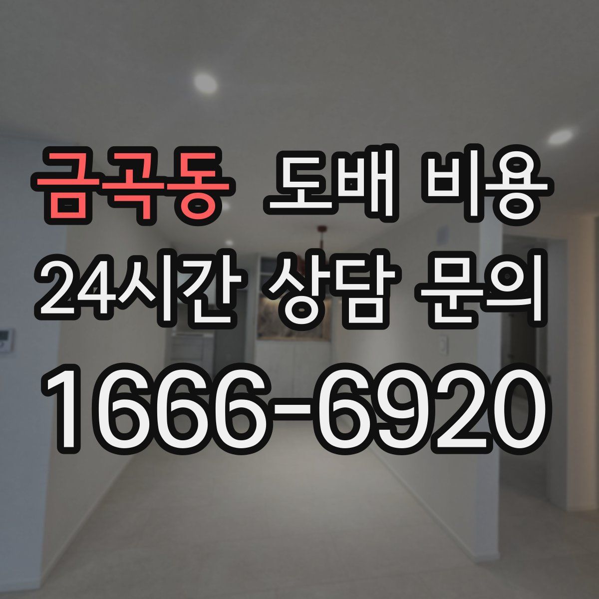 금곡동 도배 비용