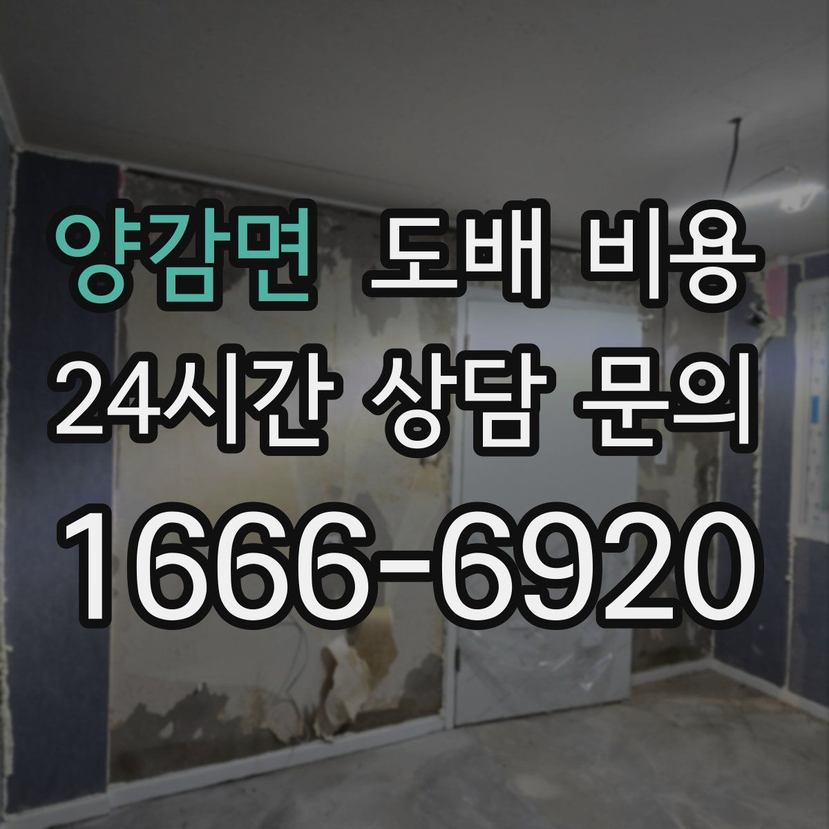 양감면 도배 비용