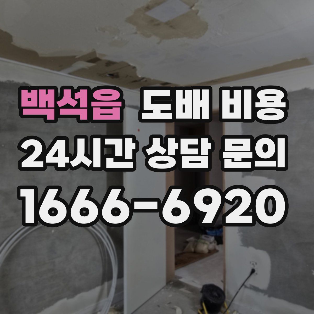 백석읍 도배 비용
