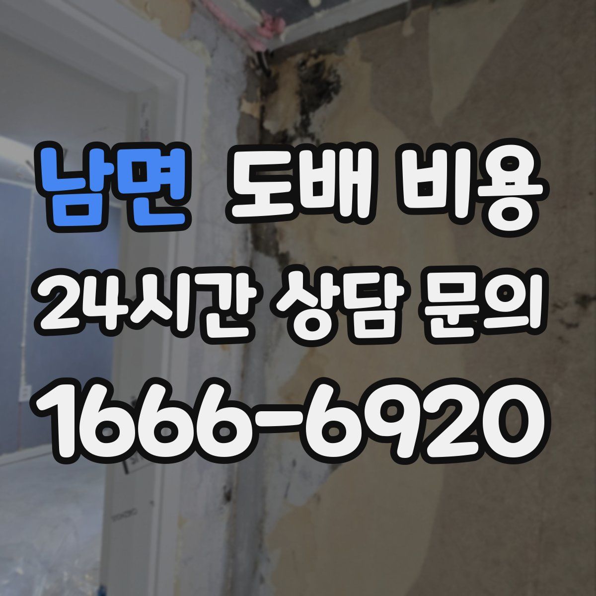 남면 도배 비용