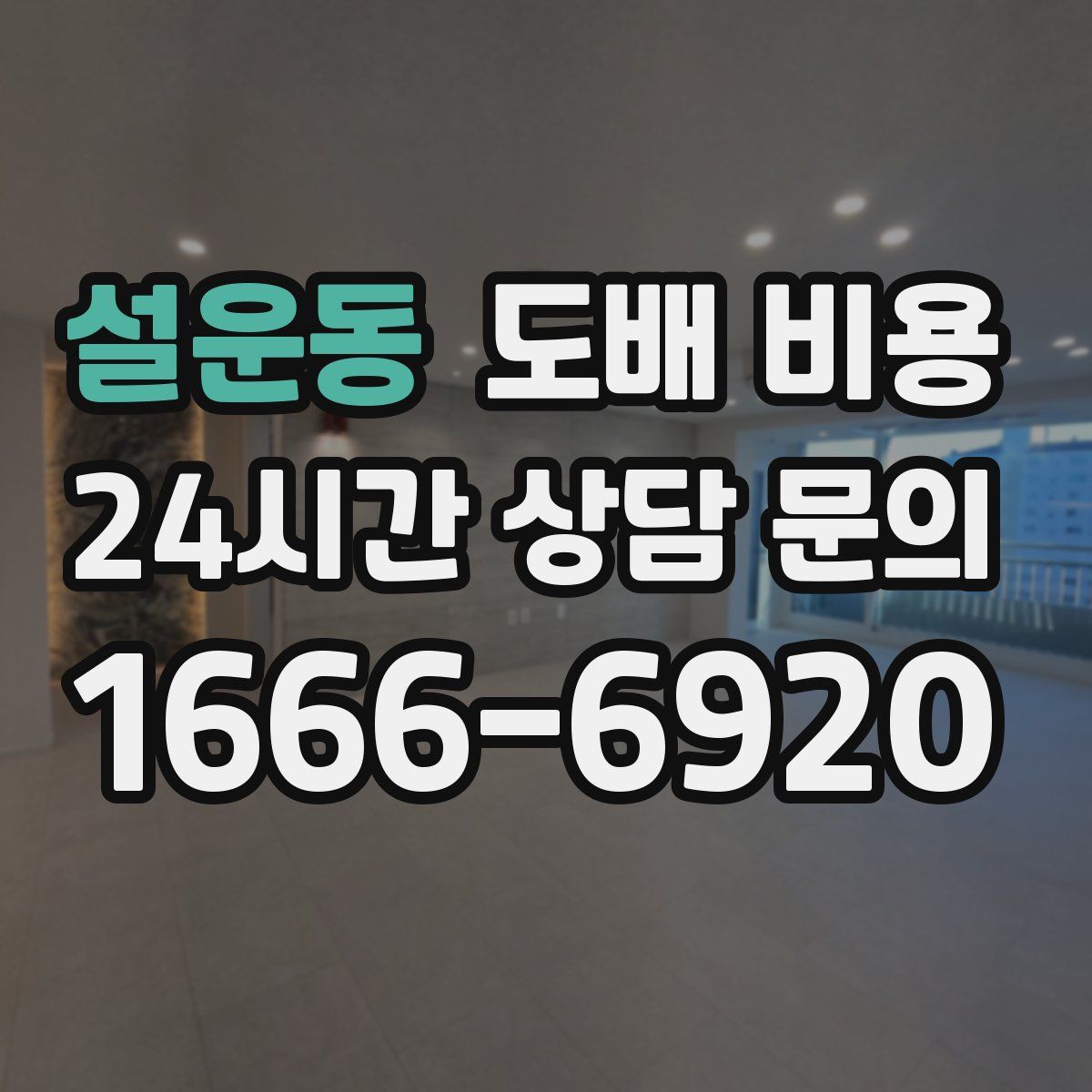 설운동 도배 비용