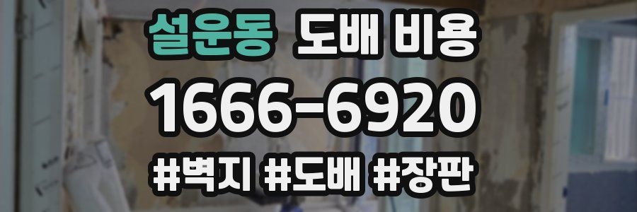 설운동 도배 비용