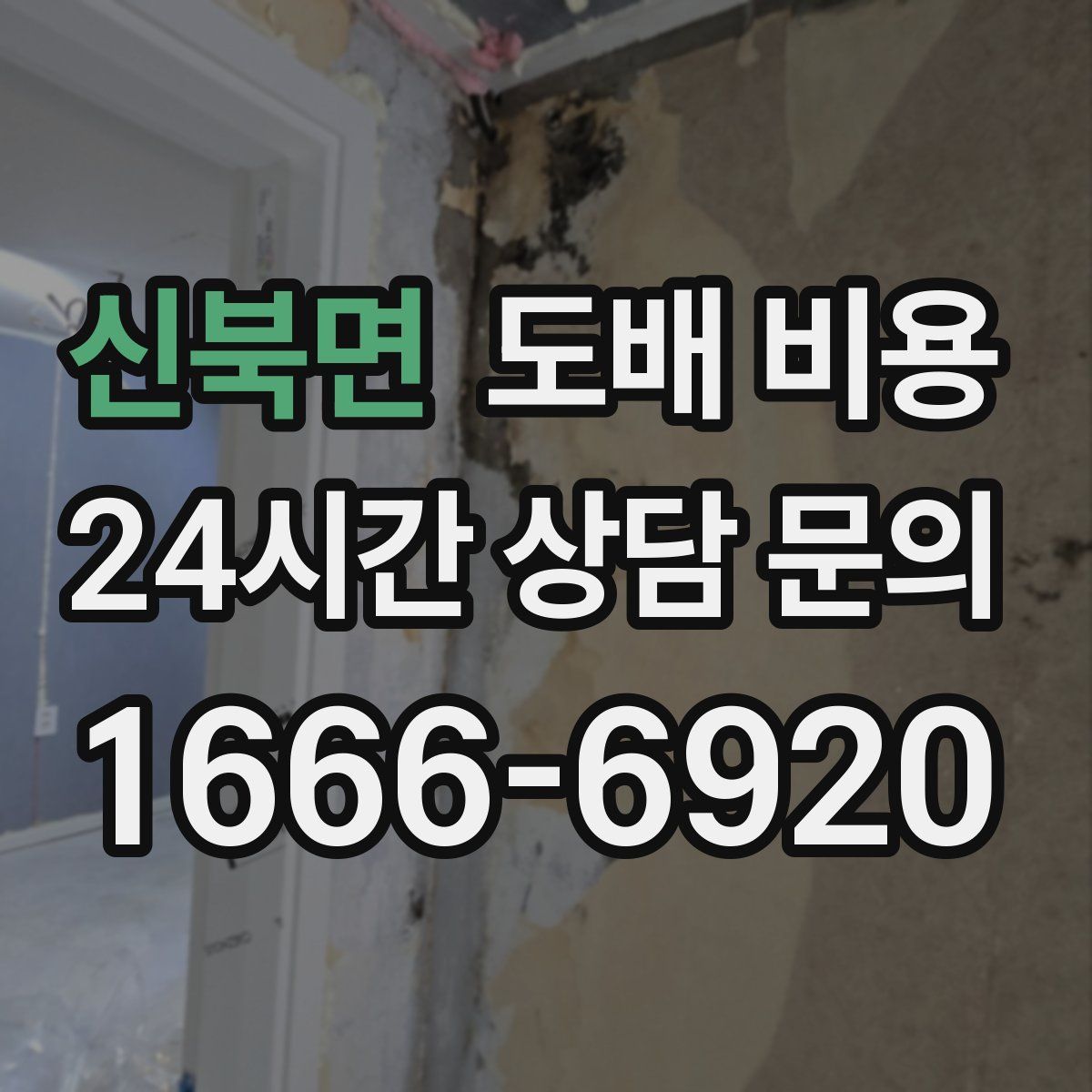 신북면 도배 비용