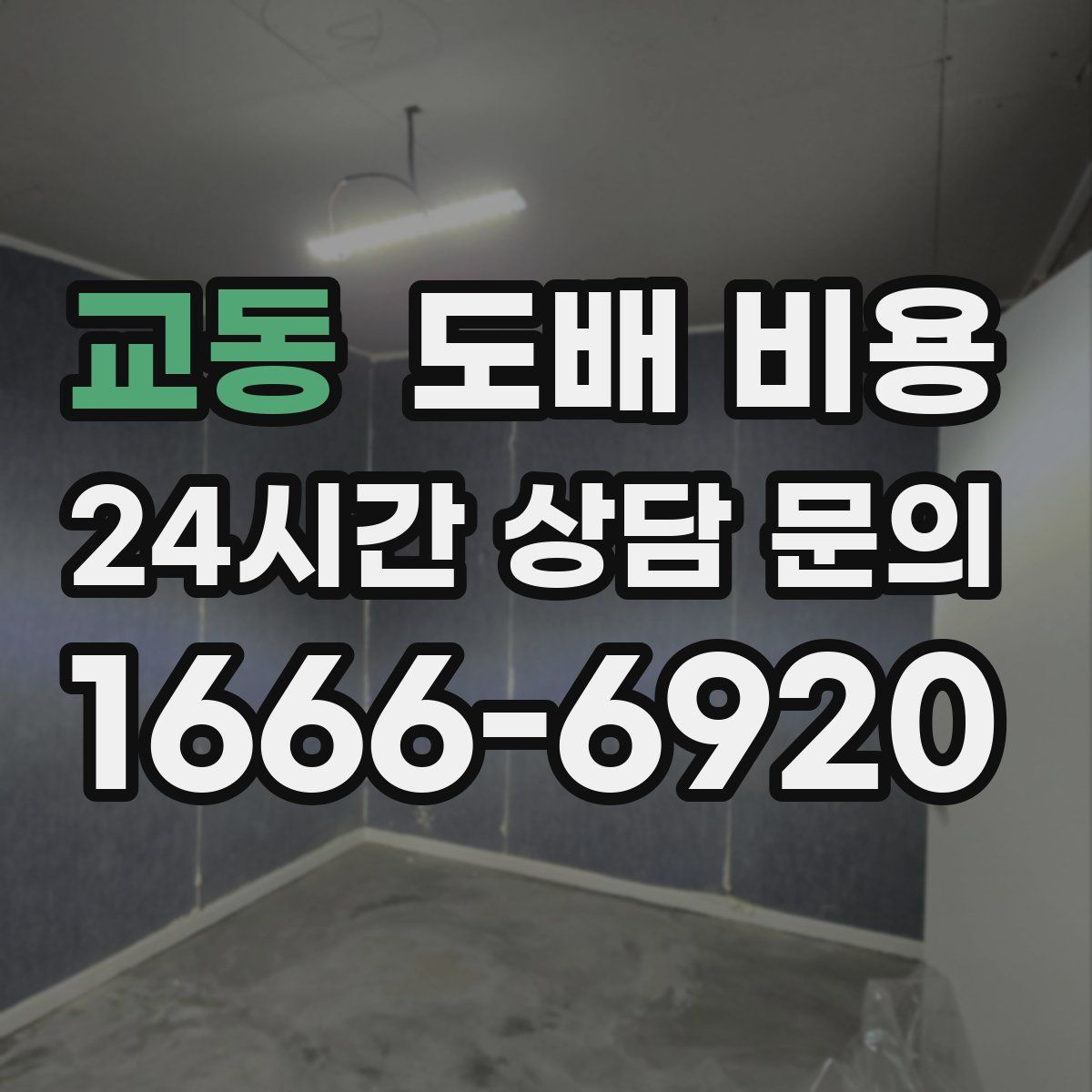 교동 도배 비용