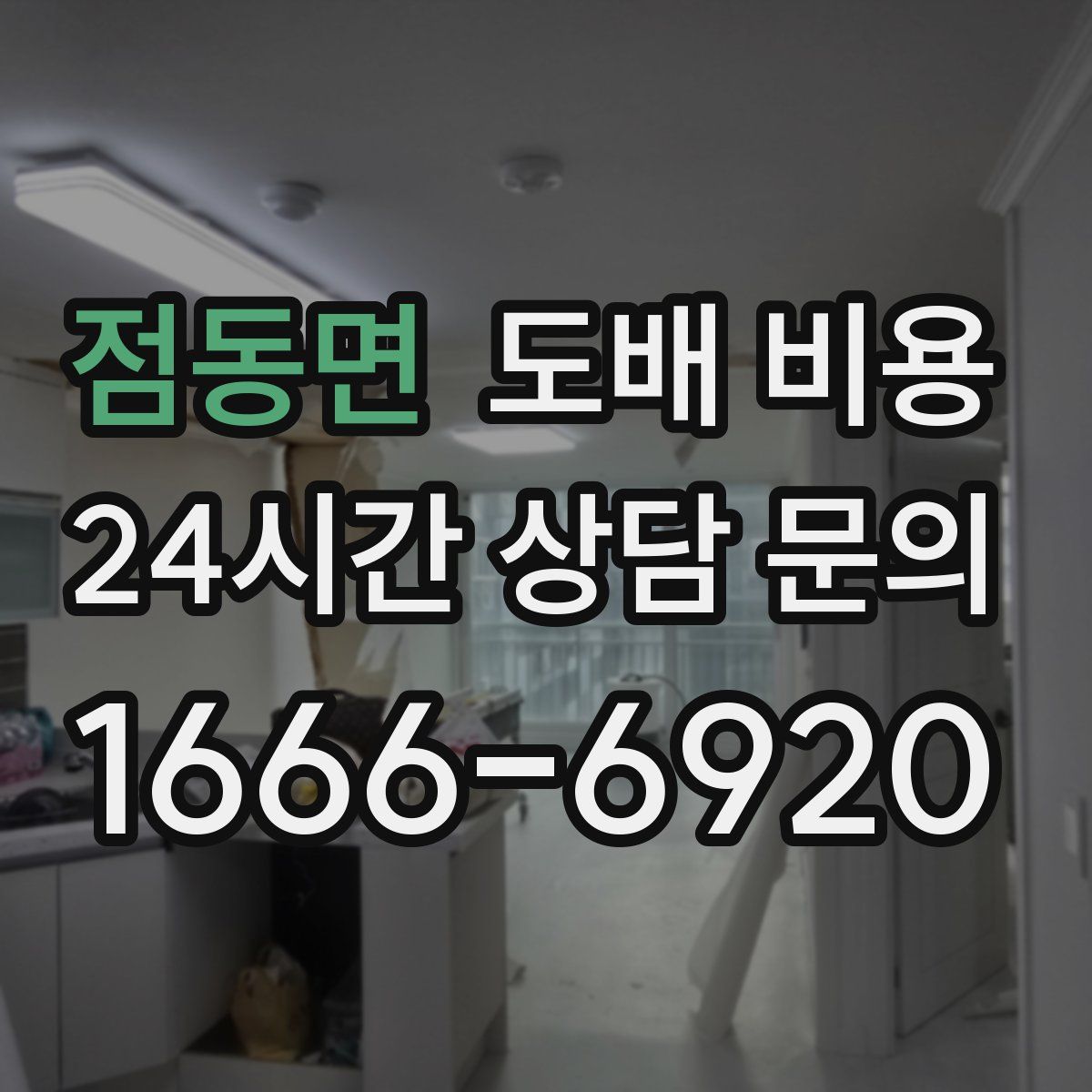 점동면 도배 비용