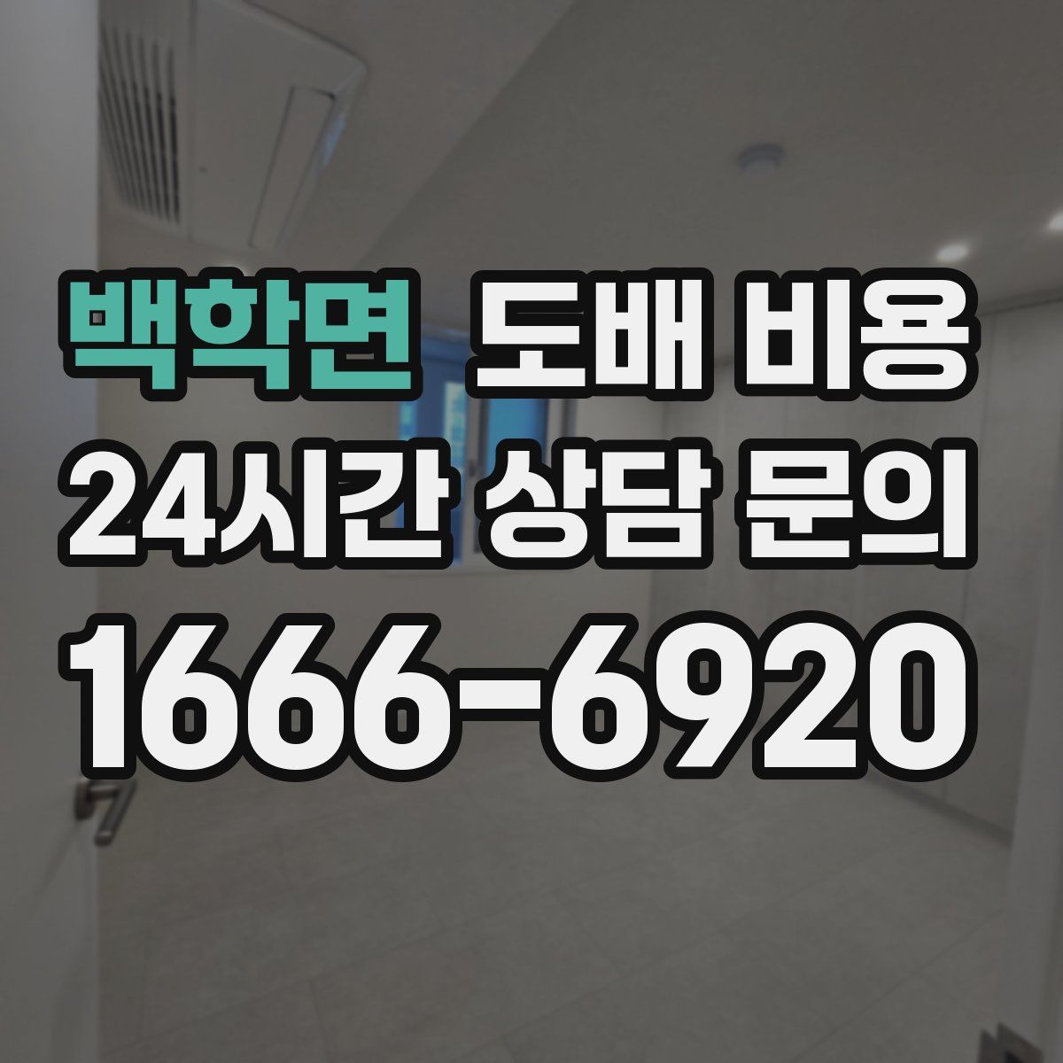 백학면 도배 비용