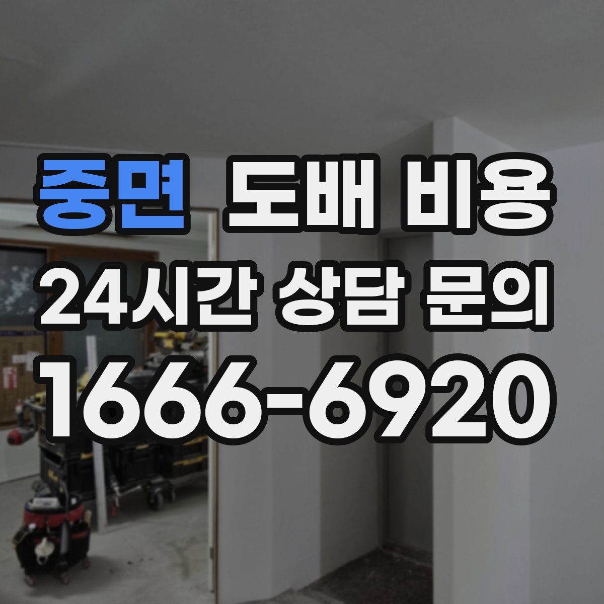 중면 도배 비용