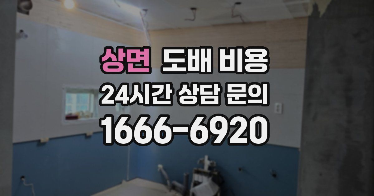 상면 도배 비용