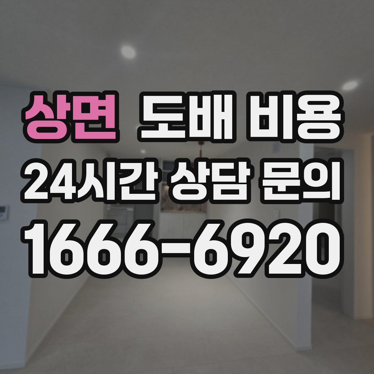 상면 도배 비용