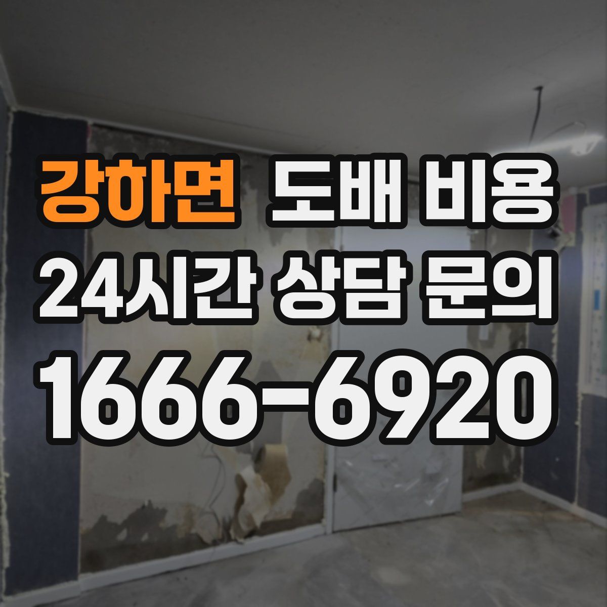 강하면 도배 비용