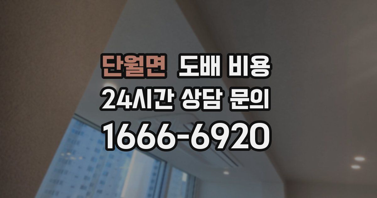 단월면 도배 비용