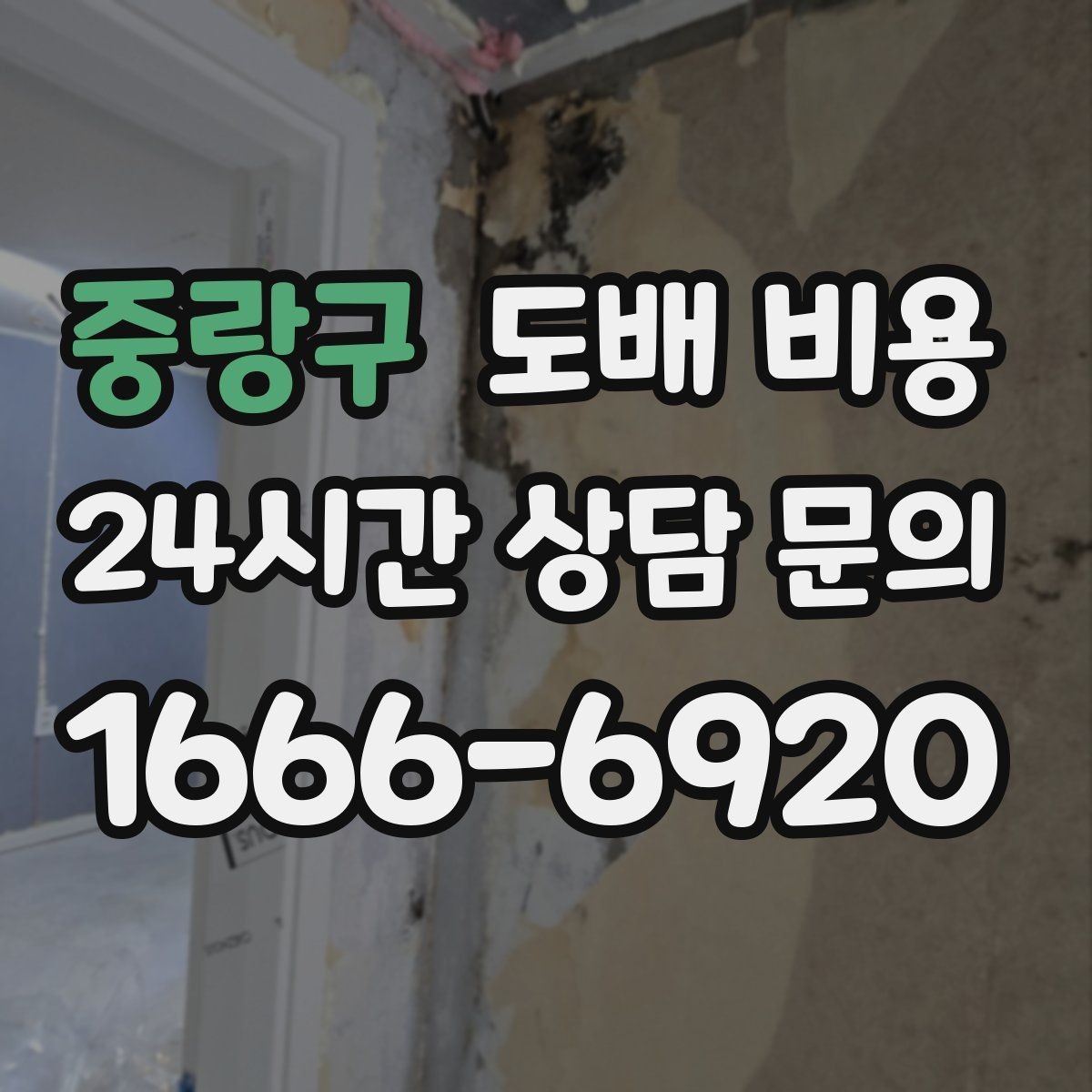 중랑구 도배 비용 상담 후 계약 전 확인할 점
