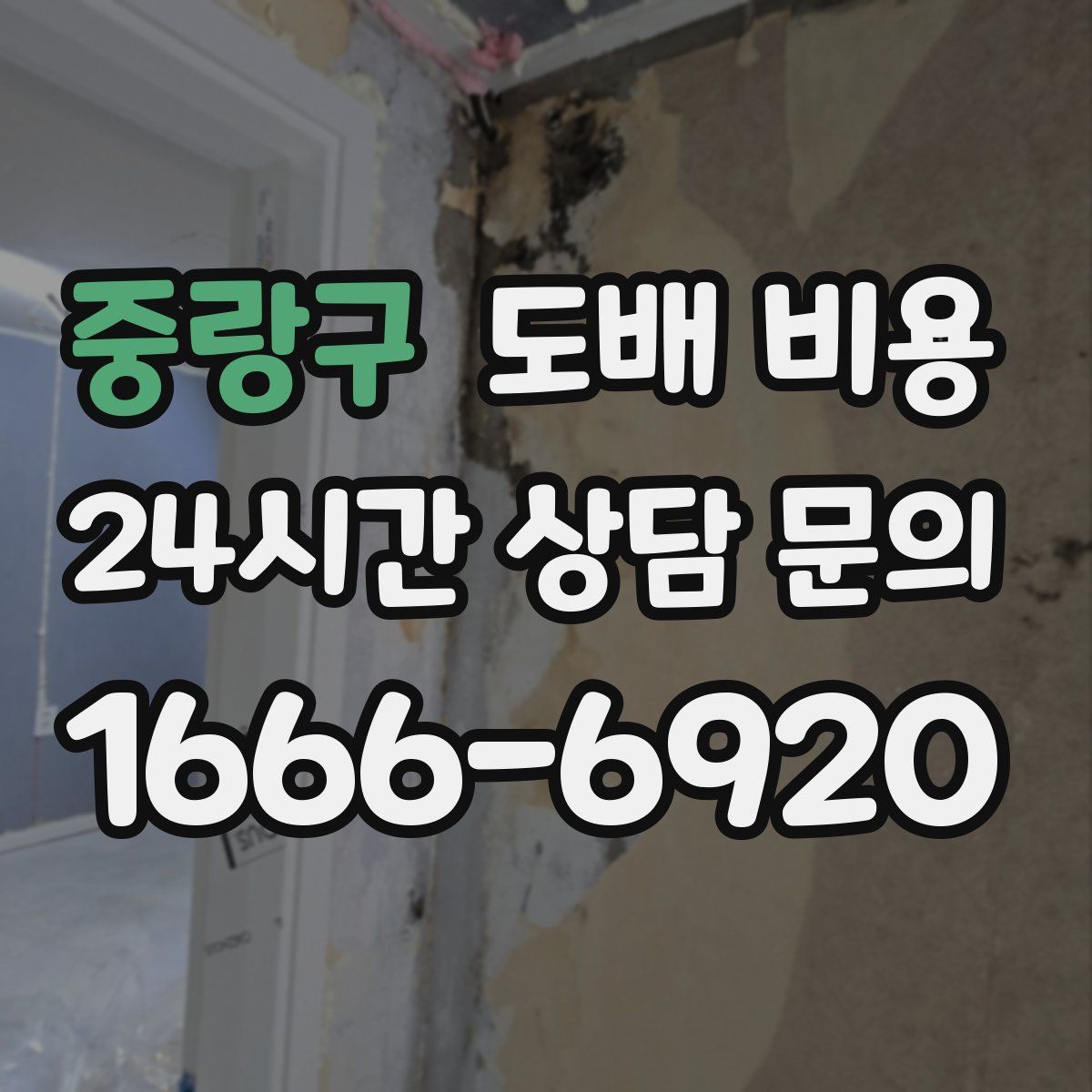 중랑구 도배 비용