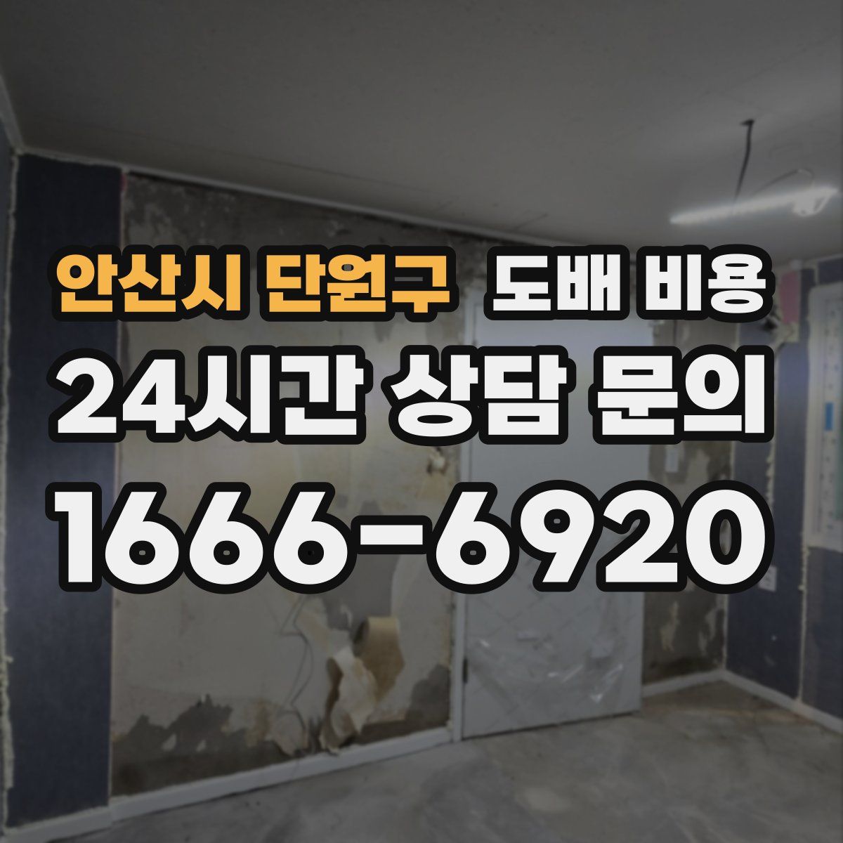 안산시 단원구 도배 비용