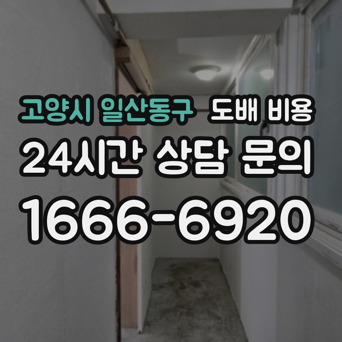 고양시 일산동구 도배 비용