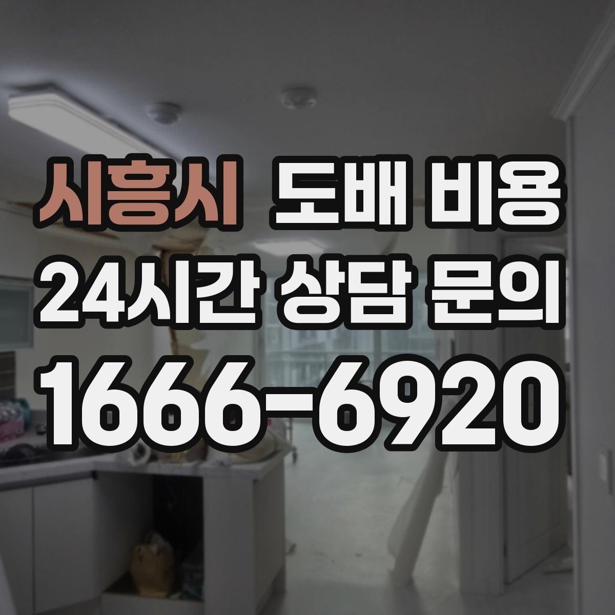 시흥시 도배 비용 정리: 현장마다 달라지는 포인트