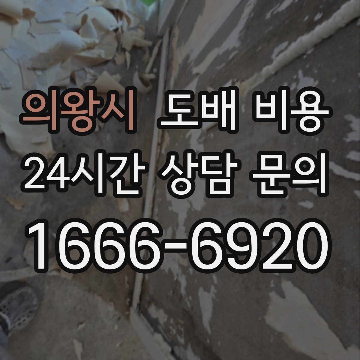 의왕시 도배 비용