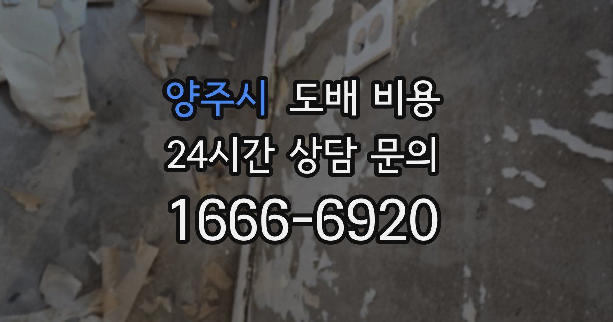 양주시 도배 비용