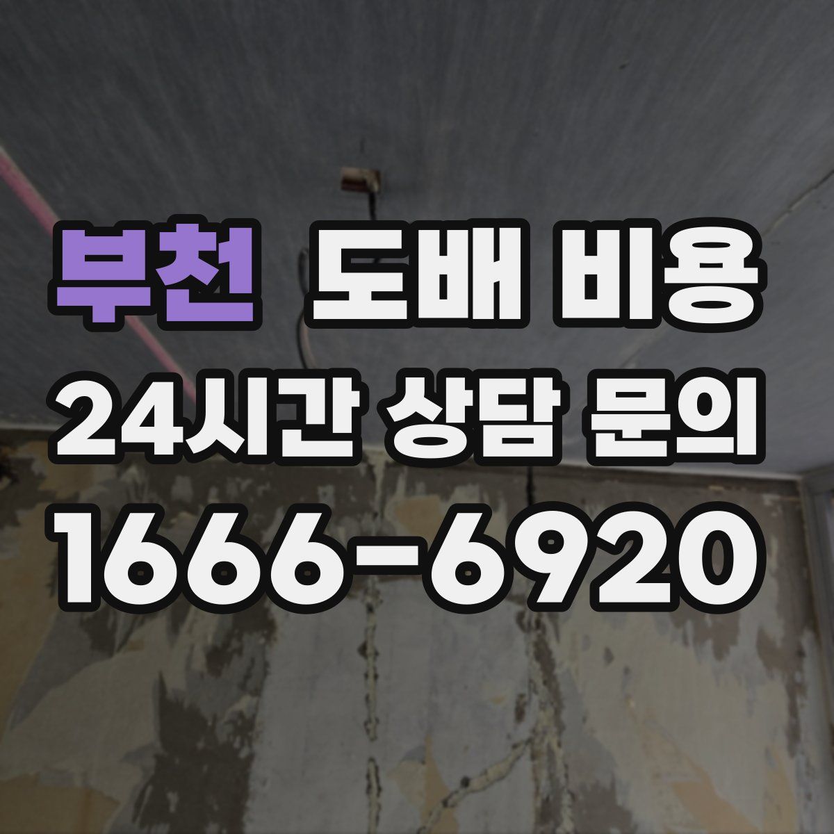 부천 도배 비용