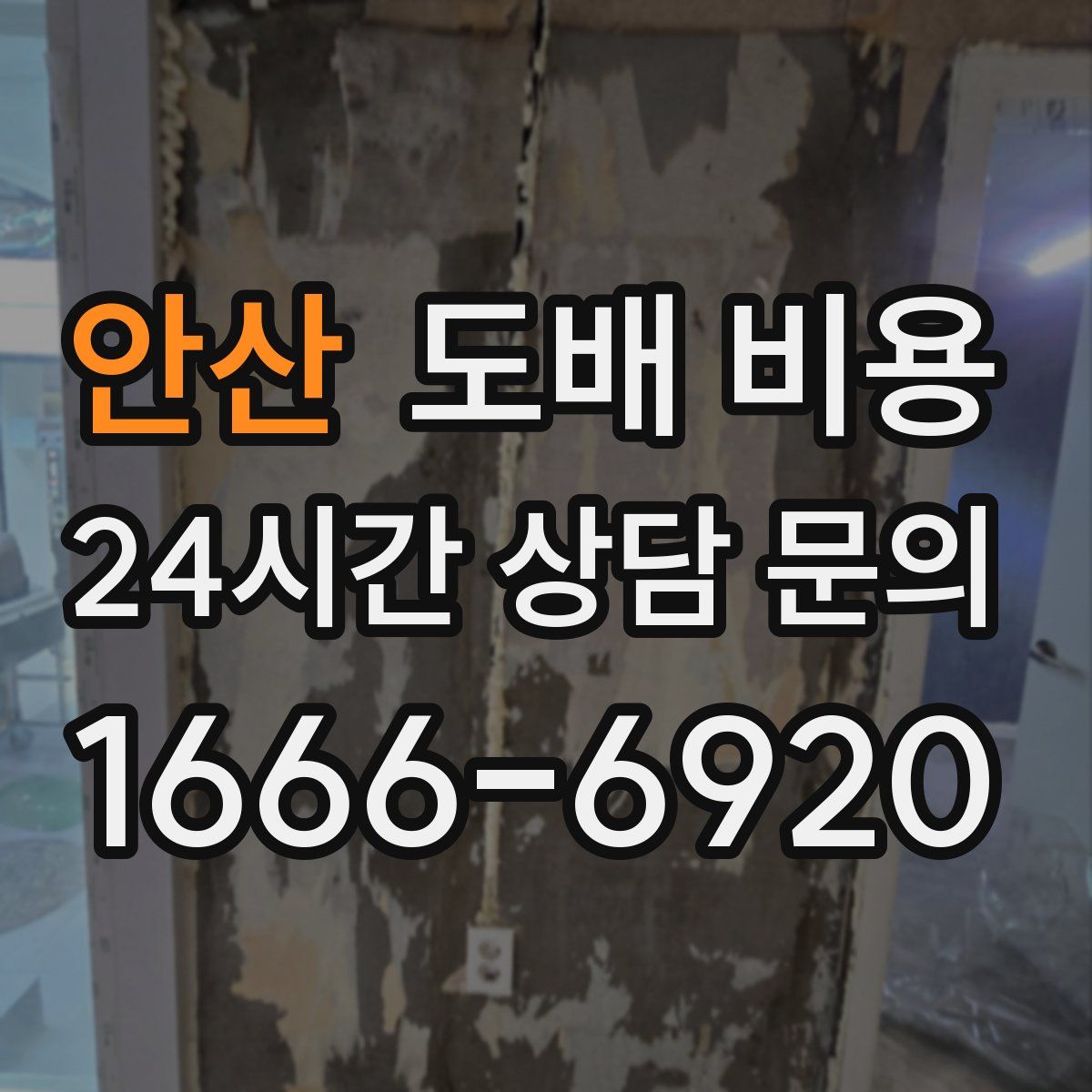 안산 도배 비용
