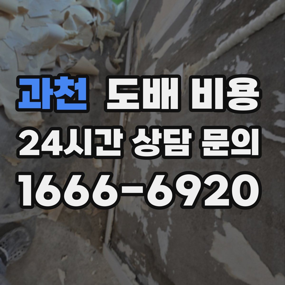 과천 도배 비용