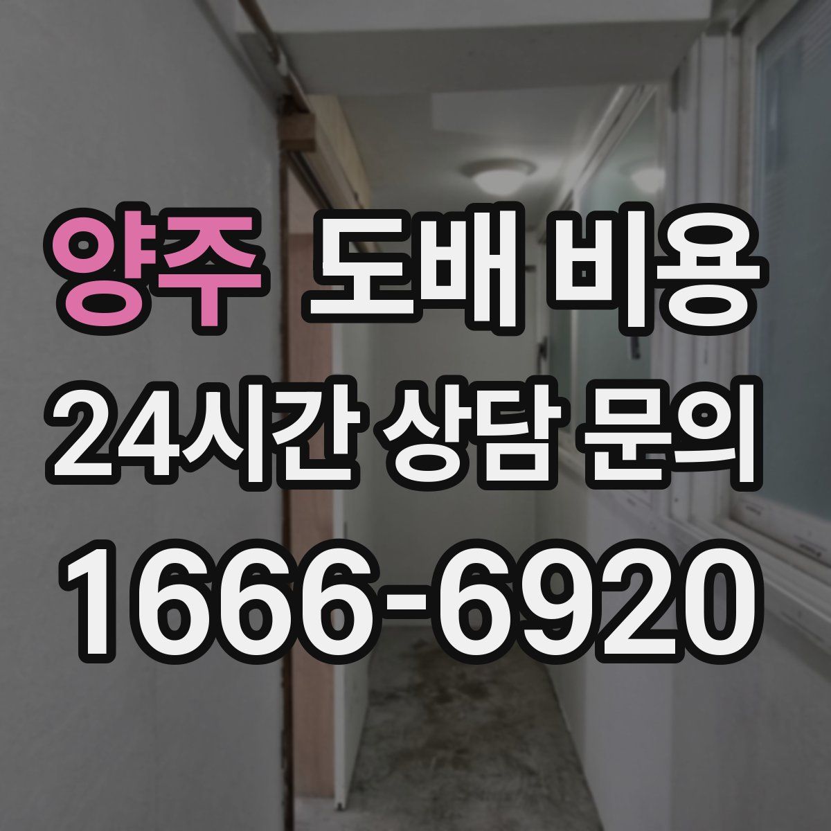 양주 도배 비용