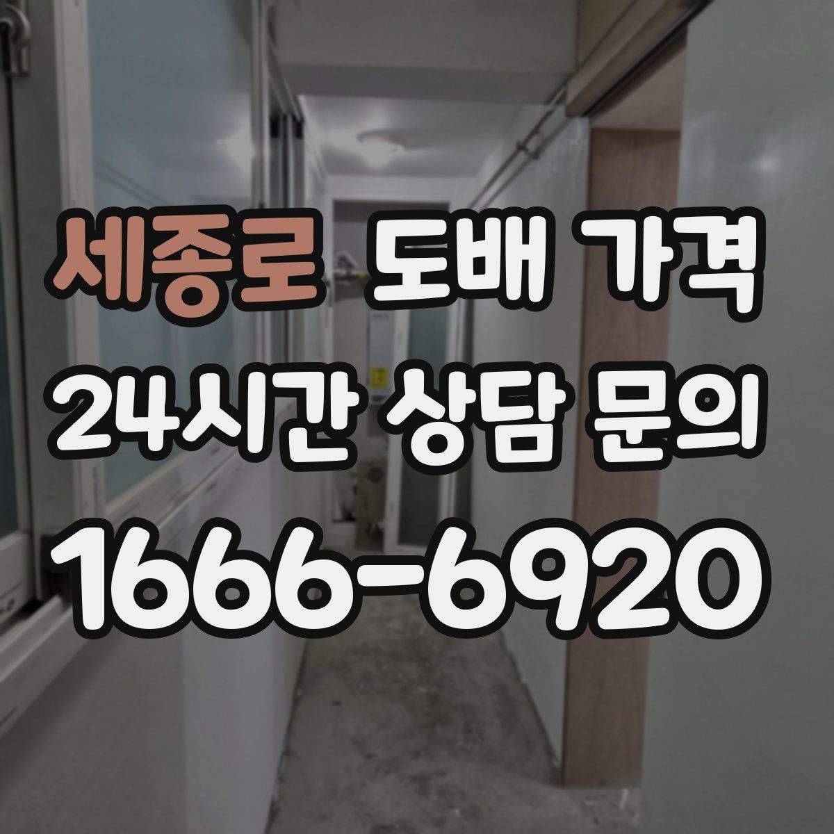 세종로 도배 가격