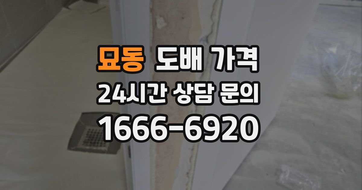 묘동 도배 가격