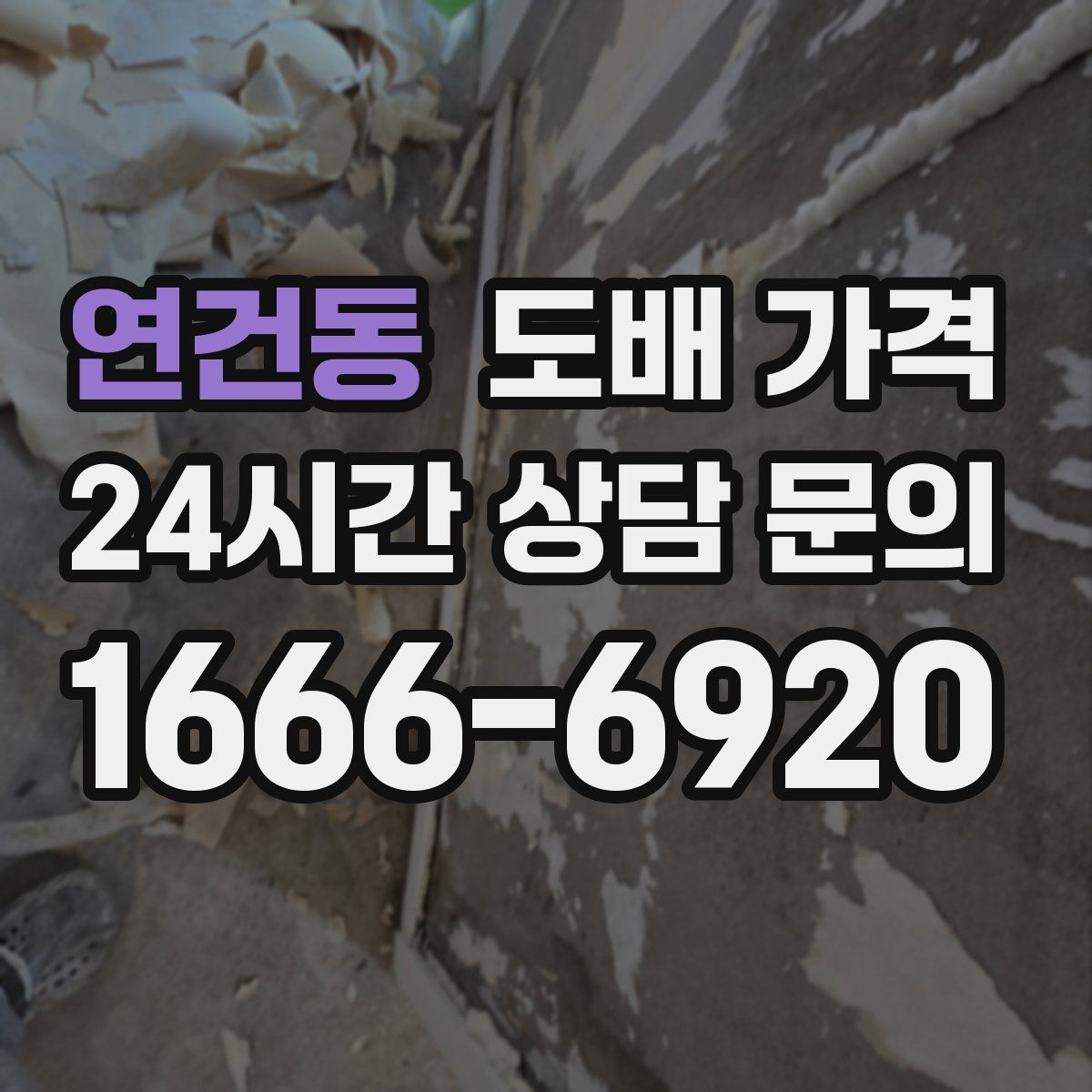 연건동 도배 가격